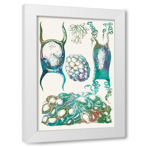 Aquatic Assemblage VI White Modern Wood Framed Art Print by Chandler, Sharon