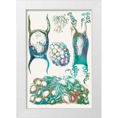 Aquatic Assemblage VI White Modern Wood Framed Art Print by Chandler, Sharon