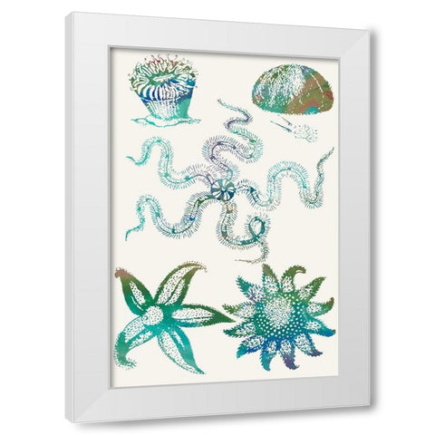 Aquatic Assemblage VII White Modern Wood Framed Art Print by Chandler, Sharon