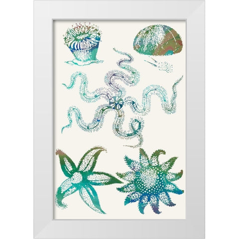 Aquatic Assemblage VII White Modern Wood Framed Art Print by Chandler, Sharon