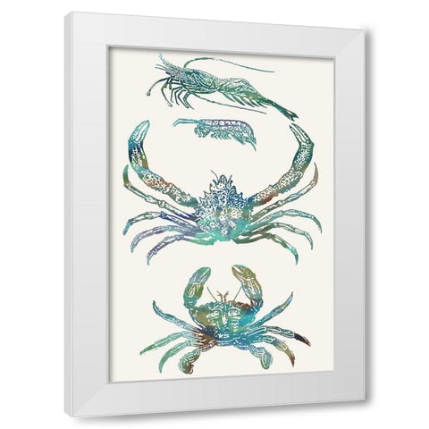 Aquatic Assemblage VIII White Modern Wood Framed Art Print by Chandler, Sharon