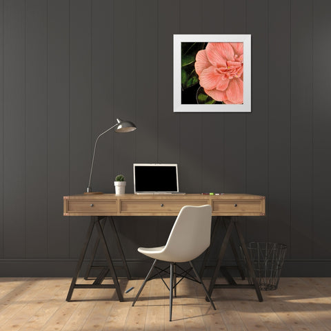 Dramatic Camellia I White Modern Wood Framed Art Print by Vision Studio