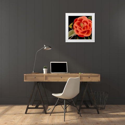 Dramatic Camellia III White Modern Wood Framed Art Print by Vision Studio