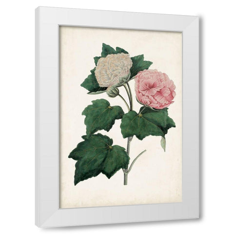 Vintage Rose Clippings II White Modern Wood Framed Art Print by Vision Studio