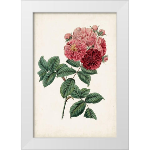 Vintage Rose Clippings III White Modern Wood Framed Art Print by Vision Studio