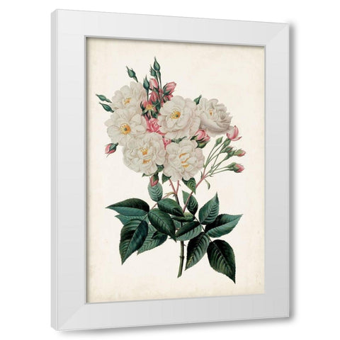 Vintage Rose Clippings IV White Modern Wood Framed Art Print by Vision Studio