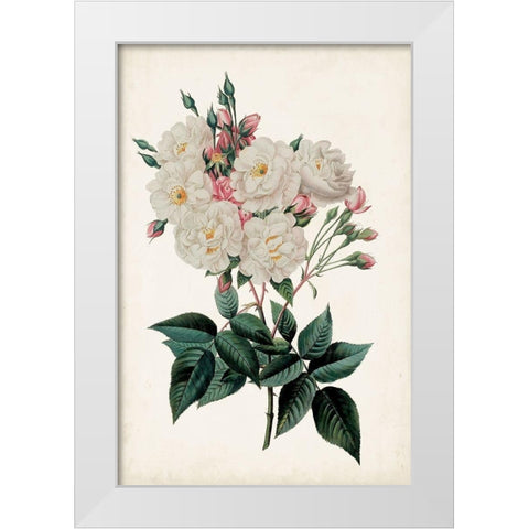 Vintage Rose Clippings IV White Modern Wood Framed Art Print by Vision Studio