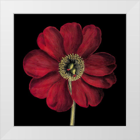 Dramatic Blooms I White Modern Wood Framed Art Print by Vision Studio