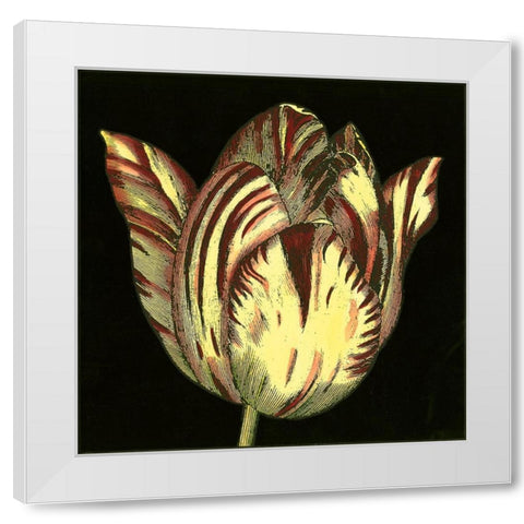 Dramatic Blooms V White Modern Wood Framed Art Print by Vision Studio