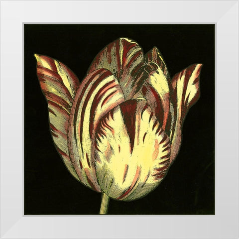 Dramatic Blooms V White Modern Wood Framed Art Print by Vision Studio