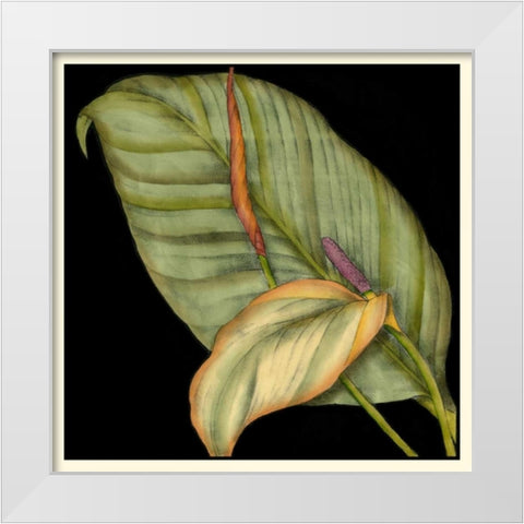 Graphic Tropicals II White Modern Wood Framed Art Print by Goldberger, Jennifer