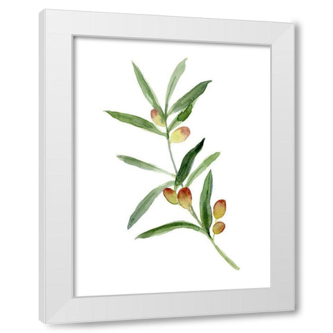 Sweet Olive Branch I White Modern Wood Framed Art Print by Caroline, Emma