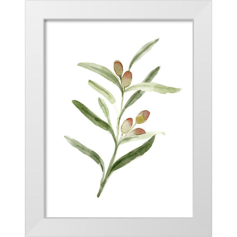 Sweet Olive Branch II White Modern Wood Framed Art Print by Caroline, Emma