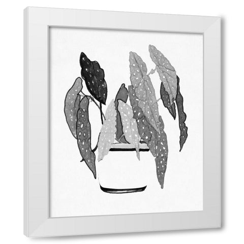 BandW Indoor Plant V White Modern Wood Framed Art Print by Stellar Design Studio