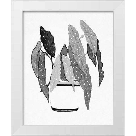BandW Indoor Plant V White Modern Wood Framed Art Print by Stellar Design Studio