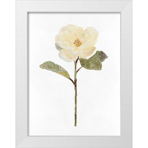 White Blossom II White Modern Wood Framed Art Print by Stellar Design Studio