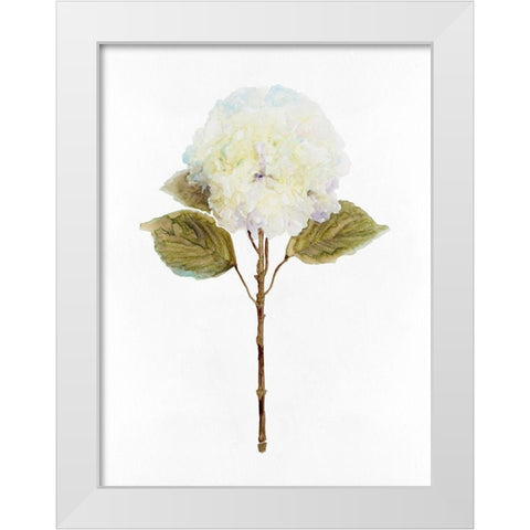 White Blossom III White Modern Wood Framed Art Print by Stellar Design Studio