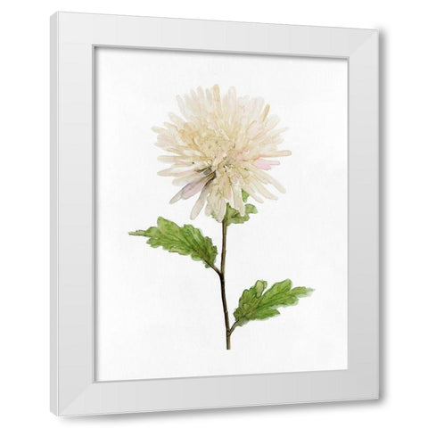 White Blossom IV White Modern Wood Framed Art Print by Stellar Design Studio