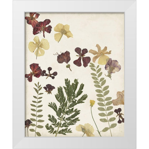 Pressed Flower Arrangement I White Modern Wood Framed Art Print by Moore, Regina