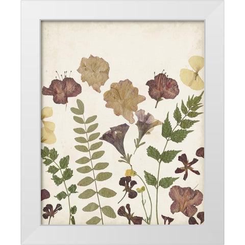 Pressed Flower Arrangement II White Modern Wood Framed Art Print by Moore, Regina