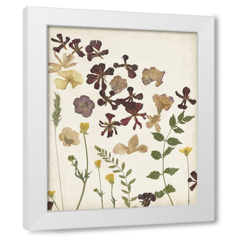 Pressed Flower Arrangement III White Modern Wood Framed Art Print by Moore, Regina