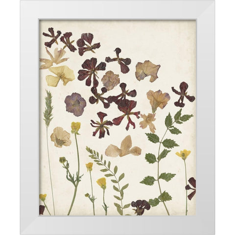 Pressed Flower Arrangement III White Modern Wood Framed Art Print by Moore, Regina