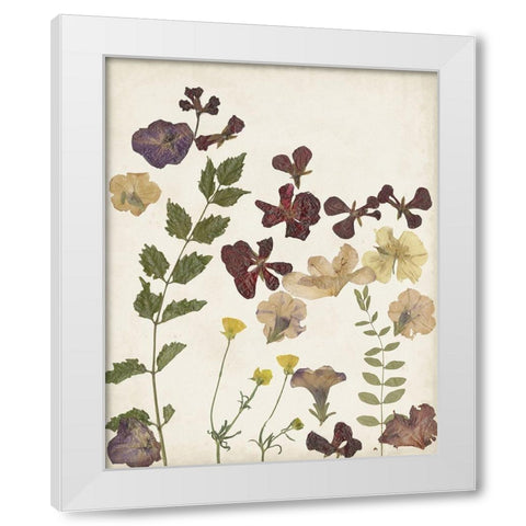 Pressed Flower Arrangement V White Modern Wood Framed Art Print by Moore, Regina