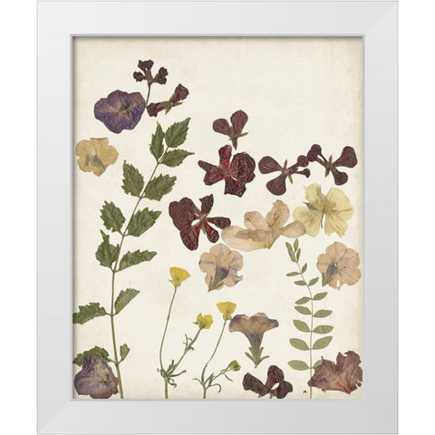 Pressed Flower Arrangement V White Modern Wood Framed Art Print by Moore, Regina