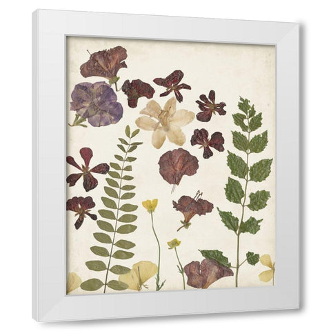 Pressed Flower Arrangement VI White Modern Wood Framed Art Print by Moore, Regina
