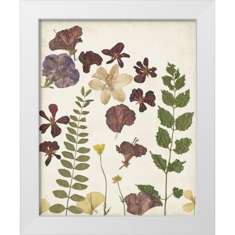 Pressed Flower Arrangement VI White Modern Wood Framed Art Print by Moore, Regina