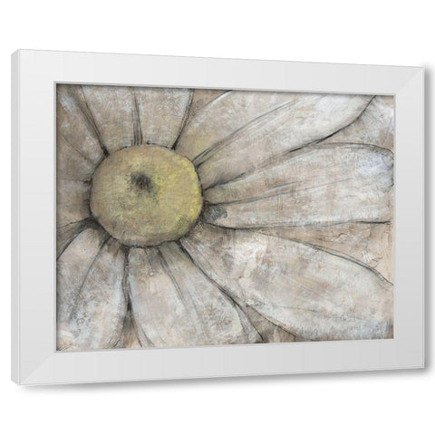 Close-Up Daisy I White Modern Wood Framed Art Print by OToole, Tim