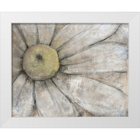 Close-Up Daisy I White Modern Wood Framed Art Print by OToole, Tim