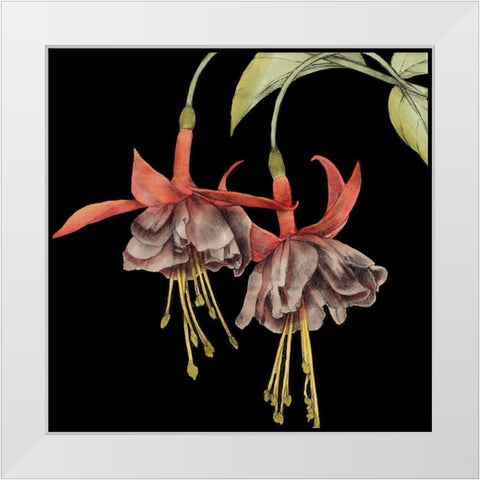 Graphic Fuchsia I White Modern Wood Framed Art Print by Goldberger, Jennifer