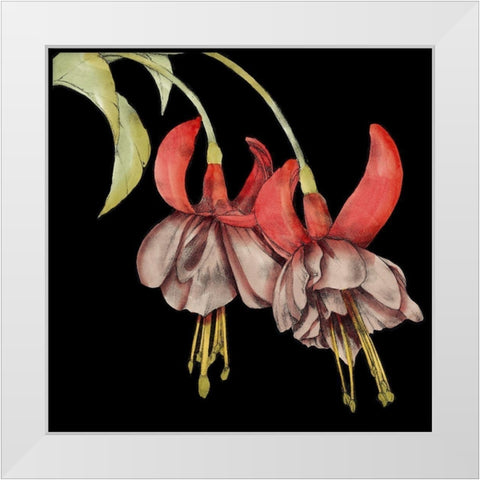 Graphic Fuchsia II White Modern Wood Framed Art Print by Goldberger, Jennifer