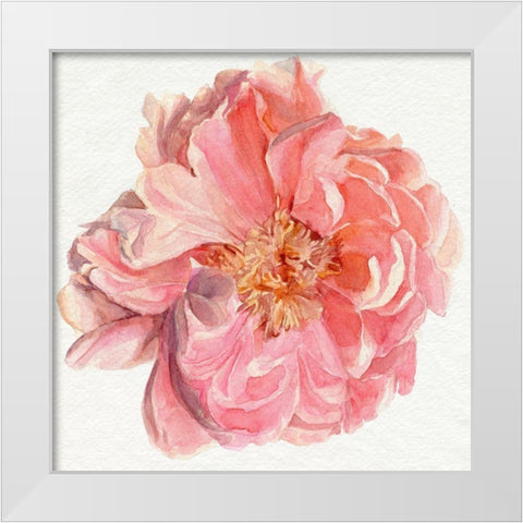 Blossomed Peony I White Modern Wood Framed Art Print by Parker, Jennifer Paxton