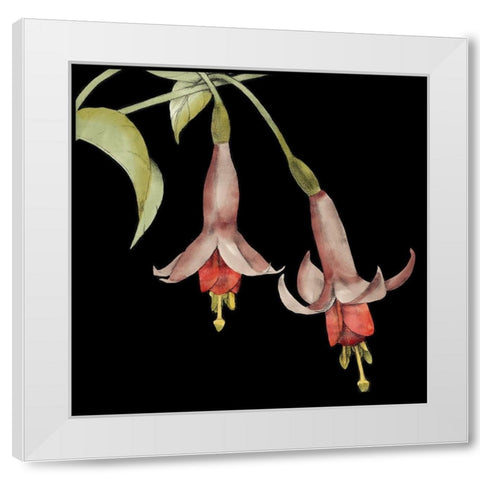 Graphic Fuchsia IV White Modern Wood Framed Art Print by Goldberger, Jennifer