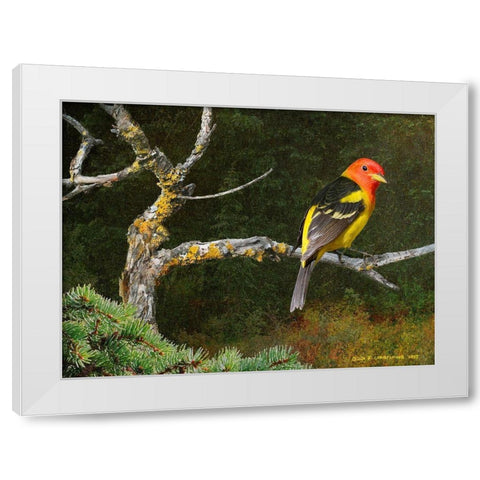 On the Branch I White Modern Wood Framed Art Print by Vest, Chris