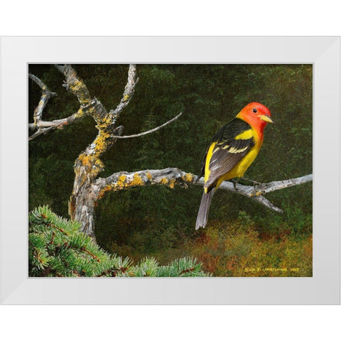 On the Branch I White Modern Wood Framed Art Print by Vest, Chris