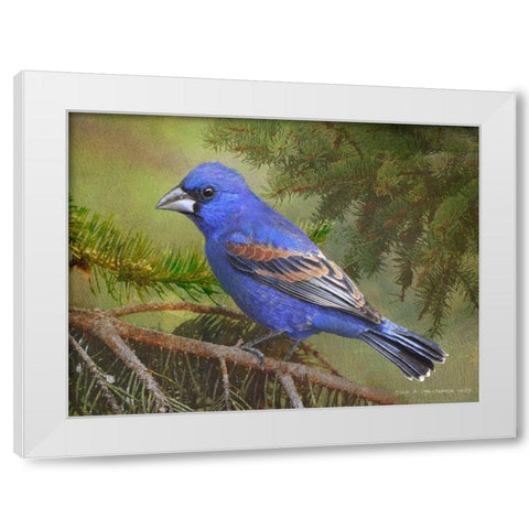 On the Branch II White Modern Wood Framed Art Print by Vest, Chris