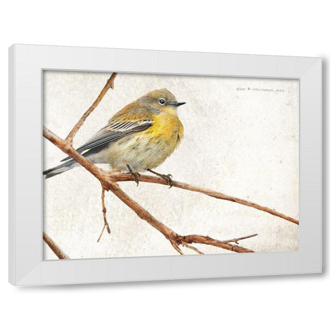 On the Branch III White Modern Wood Framed Art Print by Vest, Chris