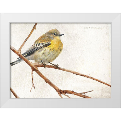 On the Branch III White Modern Wood Framed Art Print by Vest, Chris