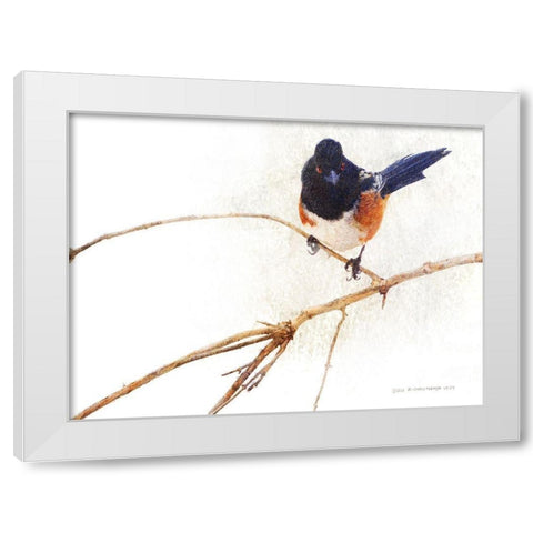 On the Branch IV White Modern Wood Framed Art Print by Vest, Chris