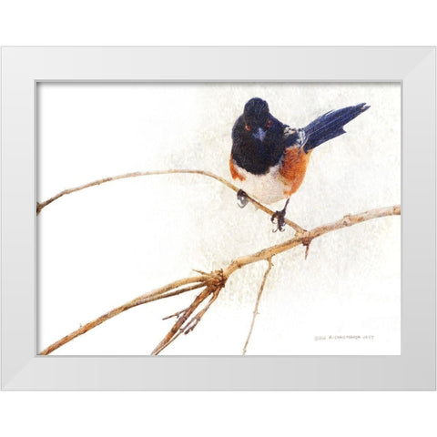 On the Branch IV White Modern Wood Framed Art Print by Vest, Chris