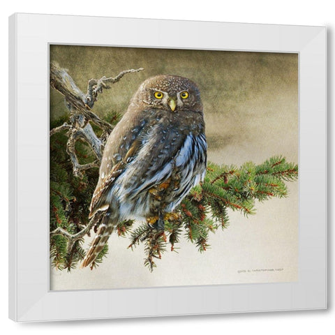 On the Branch VI White Modern Wood Framed Art Print by Vest, Chris
