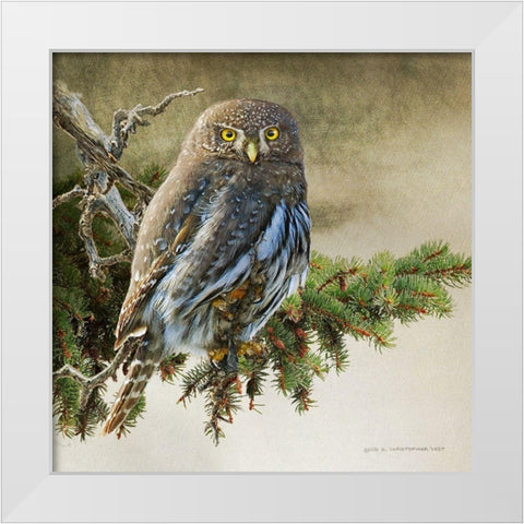On the Branch VI White Modern Wood Framed Art Print by Vest, Chris