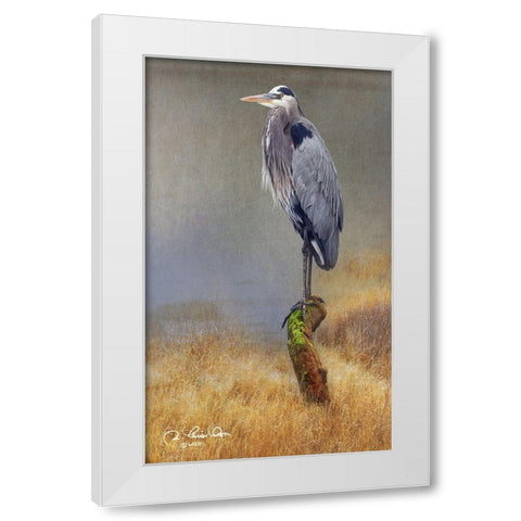 In the Water I White Modern Wood Framed Art Print by Vest, Chris