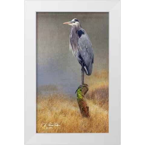 In the Water I White Modern Wood Framed Art Print by Vest, Chris