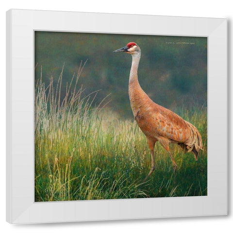 In the Water II White Modern Wood Framed Art Print by Vest, Chris