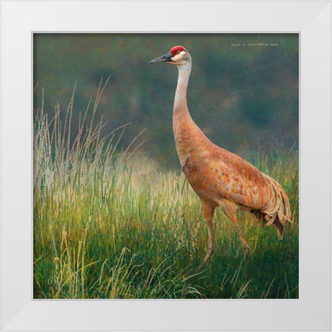 In the Water II White Modern Wood Framed Art Print by Vest, Chris