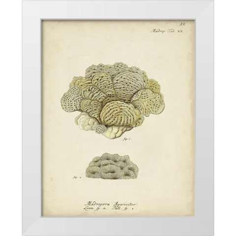Ecru Coral V White Modern Wood Framed Art Print by Esper, Johann